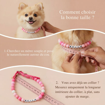 Collier pour chien unique & personnalisable