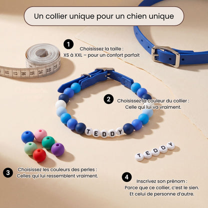 Collier pour chien unique & personnalisable