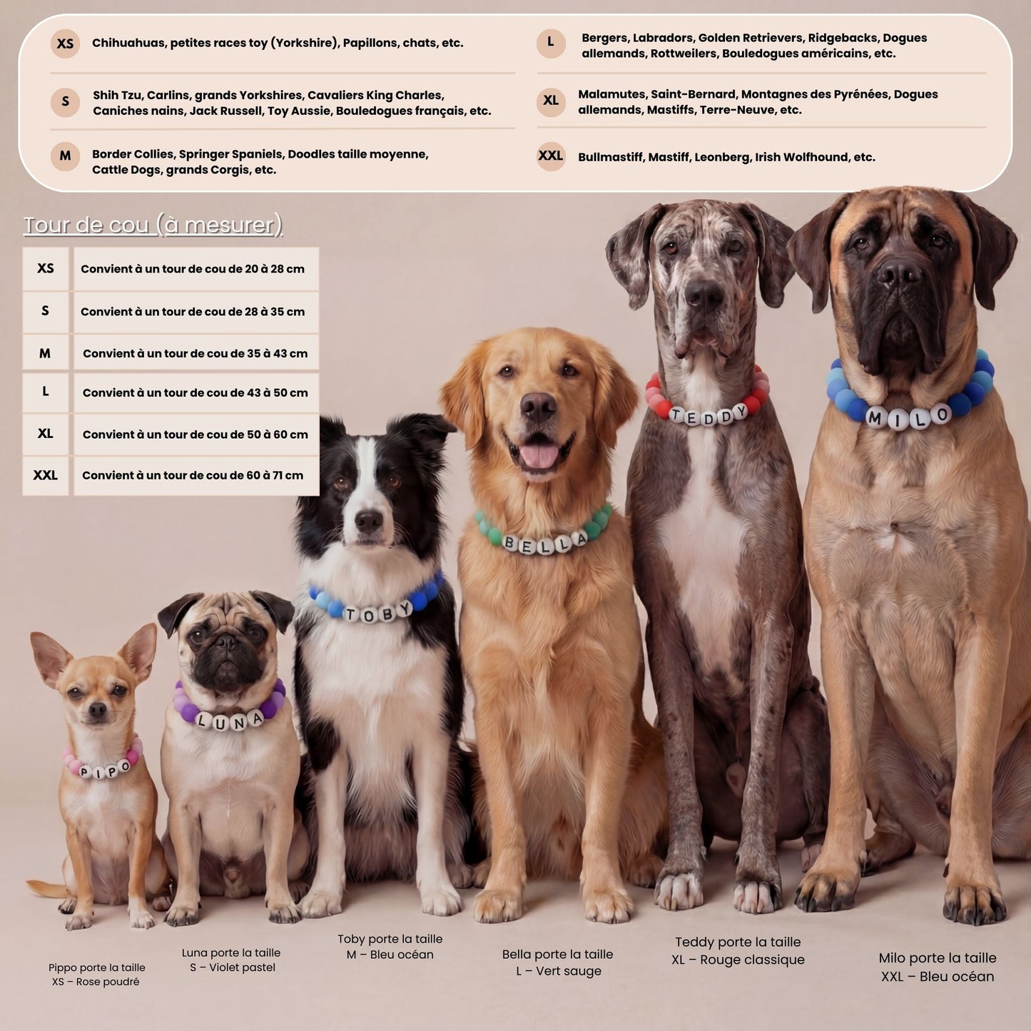 Collier pour chien unique & personnalisable