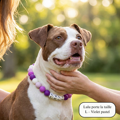 Collier pour chien unique & personnalisable