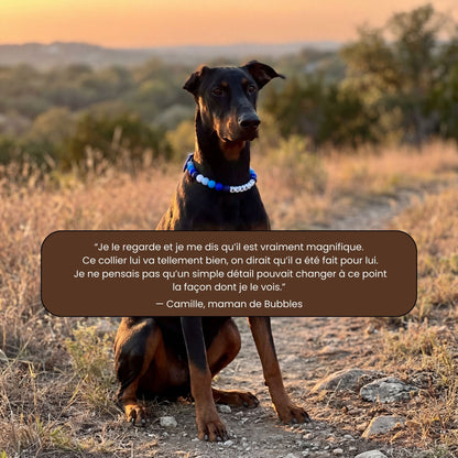 Collier pour chien unique & personnalisable