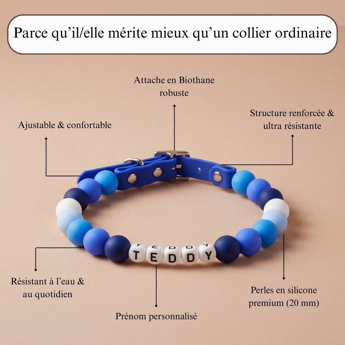 Collier pour chien unique & personnalisable