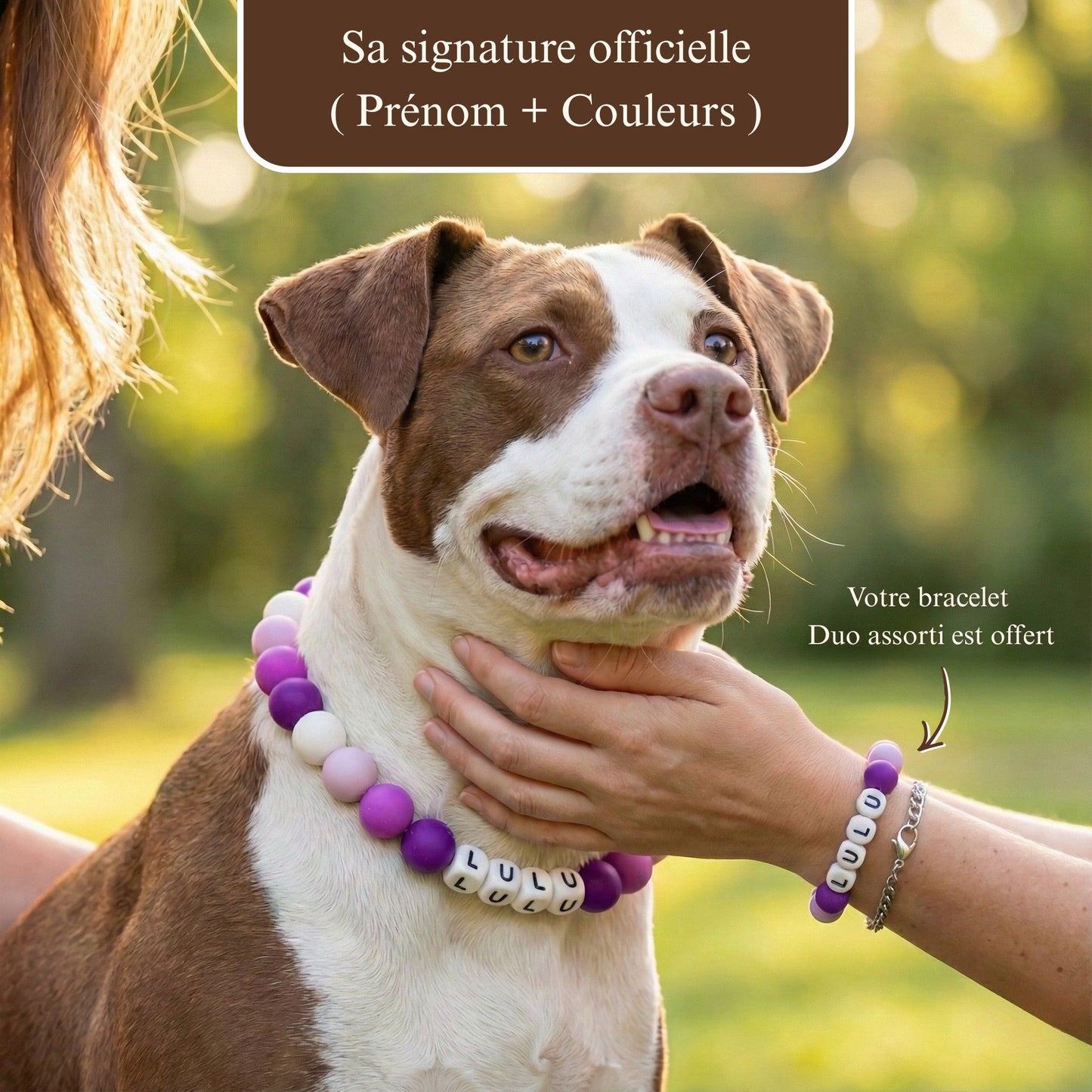 Collier pour chien unique & personnalisable