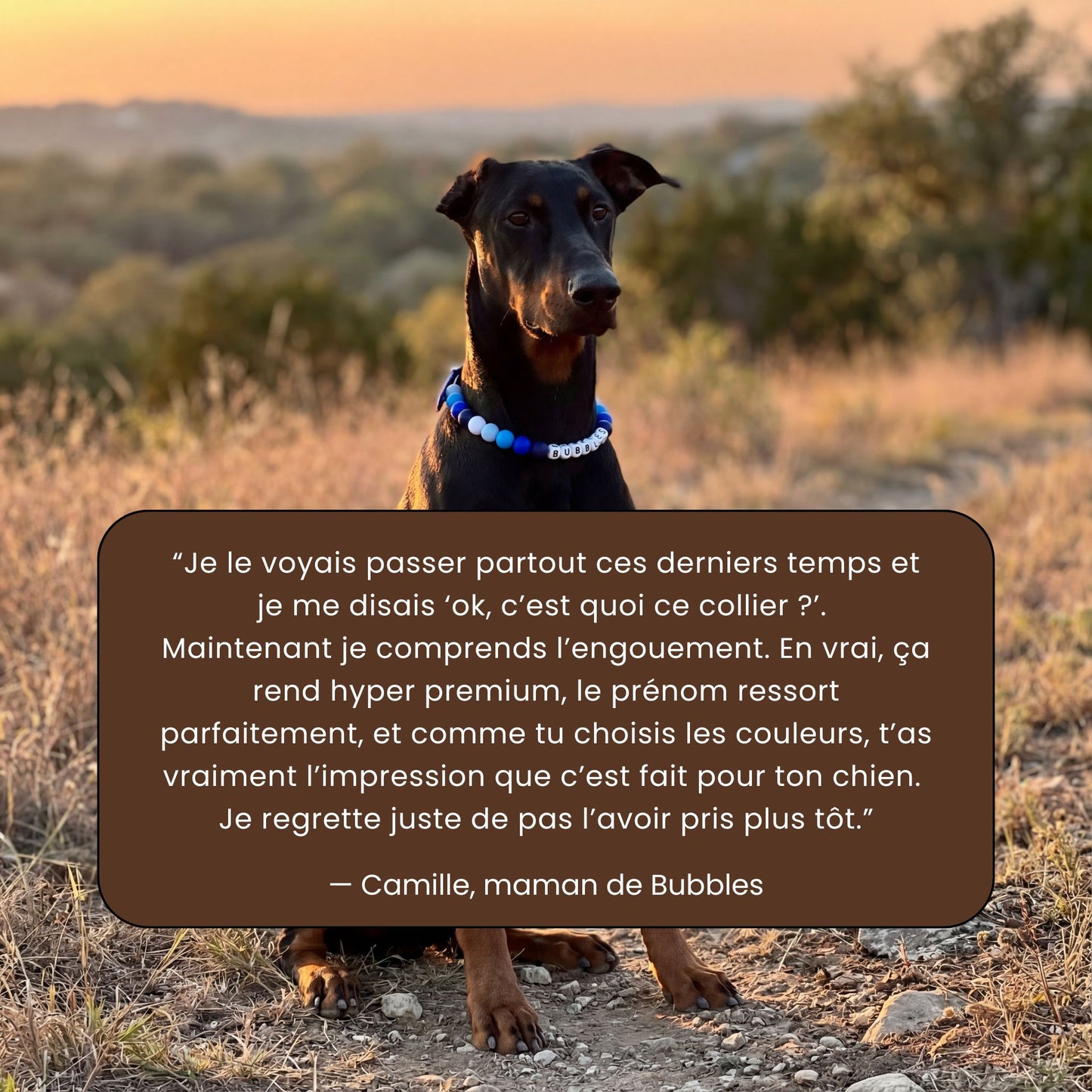 Collier pour chien unique & personnalisable